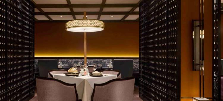 布鲁塞尔唐拉雅秀酒店(Tangla Hotel Brussels)图片