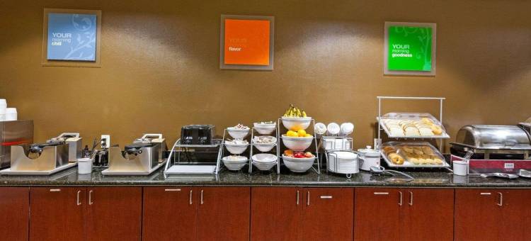 大学城舒适套房酒店(Comfort Suites University)图片