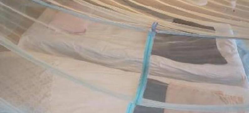 尼时基旅馆(Guesthouse Nishiki)图片