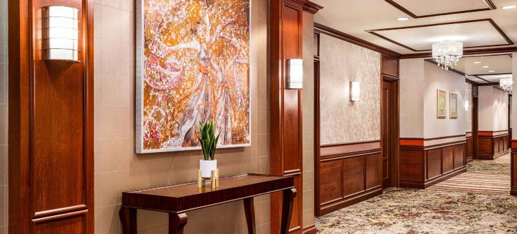 维亚纳水疗温德姆商标精选酒店(Viana Hotel and Spa, Trademark Collection by Wyndham)图片