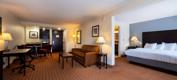 Wingate by Wyndham State Arena Raleigh/Cary图片