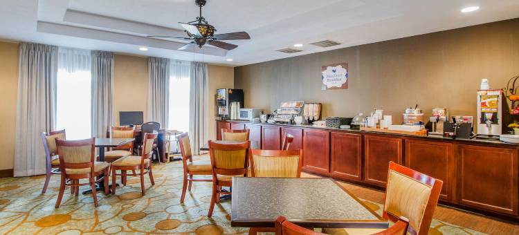 格兰德艾兰美茵斯坦套房酒店(MainStay Suites Grand Island)图片