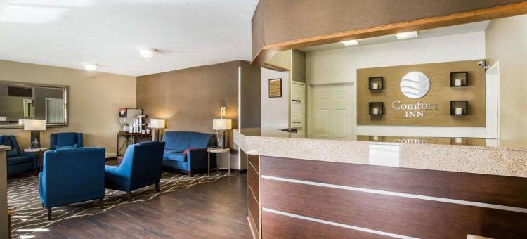 舒适酒店(Comfort Inn)图片