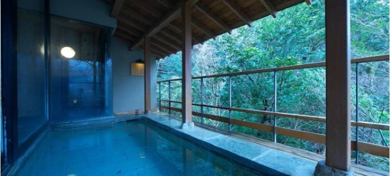 四季之汤座敷武藏野别馆(Musashino Bekkan Hakone)图片