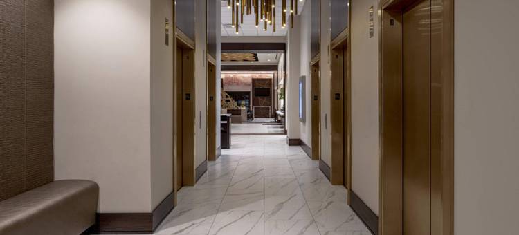 盖勒瑞亚休斯顿威斯汀酒店(The Westin Galleria Houston)图片