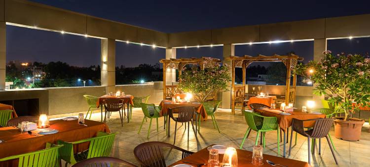 Treebo 高级大翡翠(Treebo Premium Grand Emerald)图片