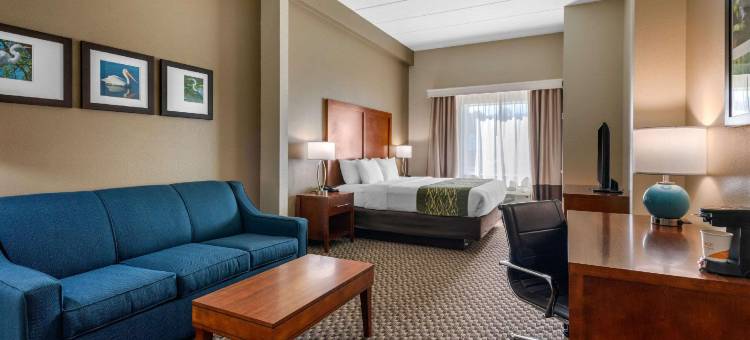 怀尔伍德-村庄舒适套房酒店(Comfort Inn & Suites Wildwood - the Villages)图片