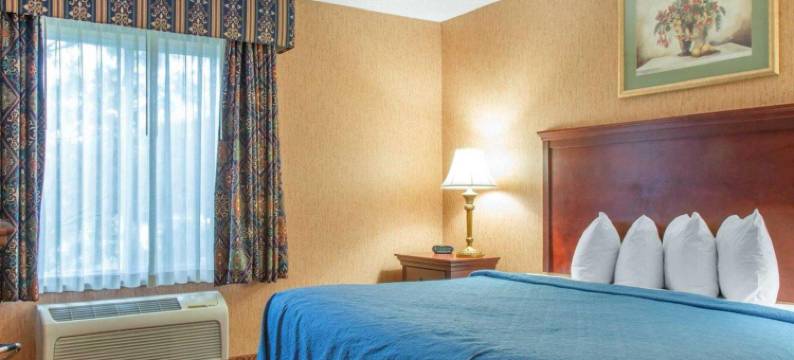 凯艺套房酒店(Quality Inn & Suites)图片