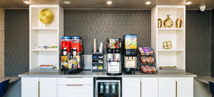 蓝宫酒店东IAH(Palace Inn Blue IAH East)图片