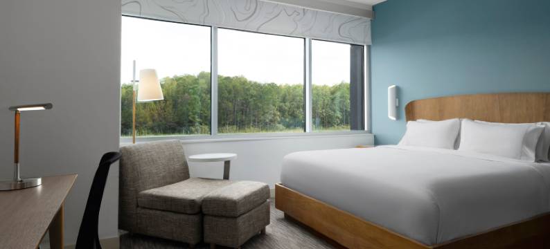 奥兰多国际大道源宿酒店(Element Orlando International Drive)图片