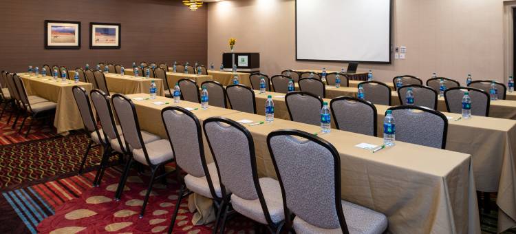 Holiday Inn 阿马里洛西部医疗中心(Holiday Inn Amarillo West Medical Center)图片