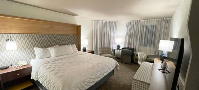 温德姆酒店密歇根弗林特、格兰德布兰克、毕晓普机场会议中心(Wyndham Flint MI/Grand Blanc/Bishop Airport/Conference Ctr)图片