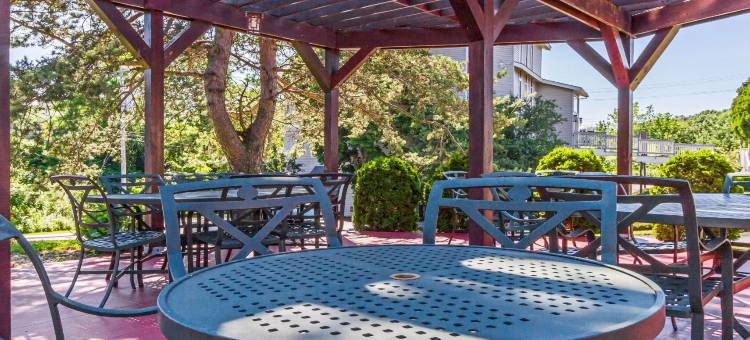 机场舒适酒店(Comfort Inn Airport)图片