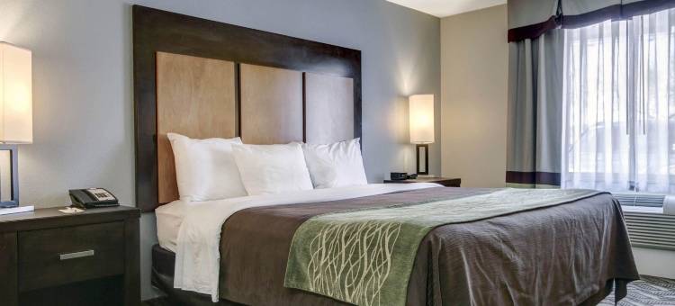 舒适套房酒店机场I-10(Comfort Inn & Suites I-10 Airport)图片