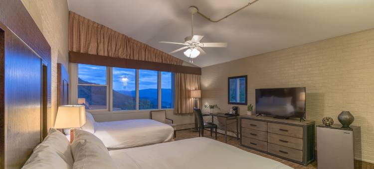 斯诺马斯山区木屋(Mountain Chalet Snowmass)图片