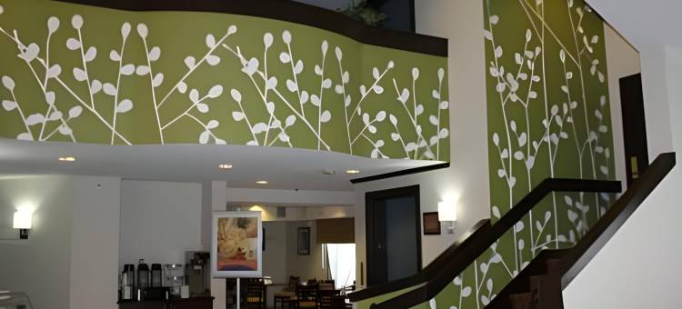 格林维尔会议中心舒眠酒店(Sleep Inn at Greenville Convention Center)图片