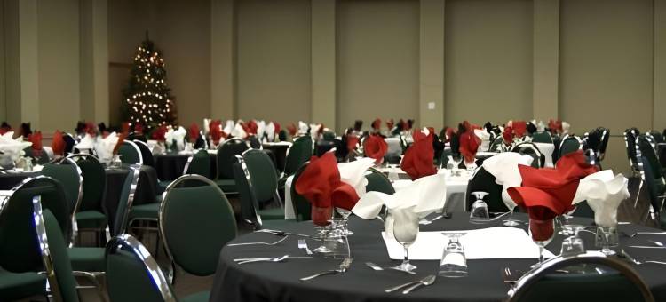 圣约翰堡丽笙酒店(Radisson Hotel Fort St John)图片