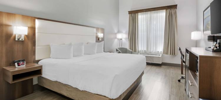 Best Western Plus First Coast Inn  Suites图片