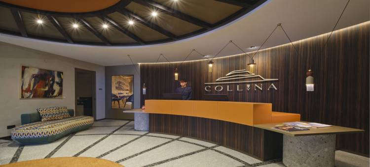 科利纳豪华酒店(Collina Luxury Relais)图片