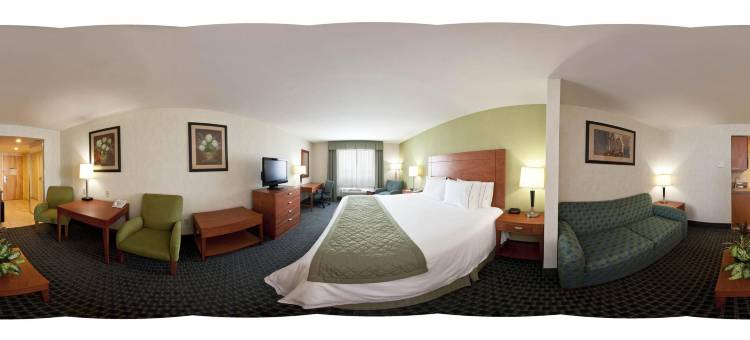托卢卡佐纳埃洛普尔托智选假日酒店及套房(Holiday Inn Express & Suites Toluca Zona Aeropuerto)图片