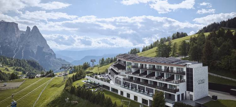 阿尔皮纳多洛米蒂酒店(Como Alpina Dolomites)图片