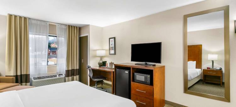 菲德里克红马舒适酒店(Comfort Inn Red Horse Frederick)图片