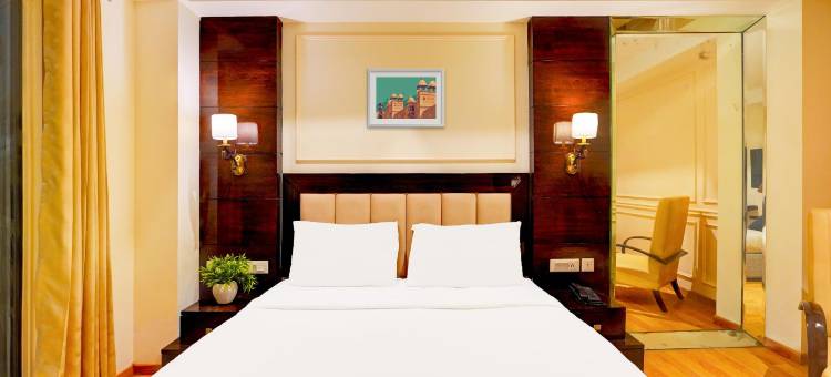 皇家别墅酒店(Palette South Delhi Formerly Imperial Villa)图片