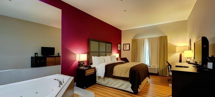 土萨I-44西-66号公路舒适套房酒店(Comfort Inn & Suites Tulsa I-44 West - Rt 66)图片