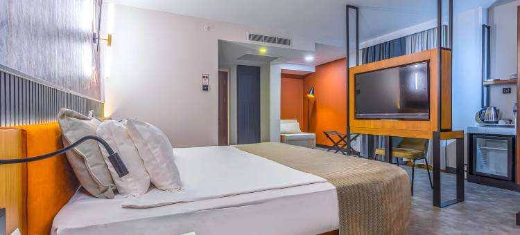 客安贝斯特韦斯特优质酒店(Best Western Plus Khan Hotel)图片