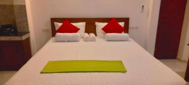 新的海狮招待所(New Sea Lion Guest House)图片