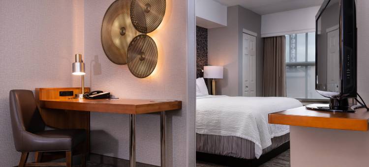 匹兹堡北岸万豪SpringHill Suites 酒店(SpringHill Suites Pittsburgh North Shore)图片