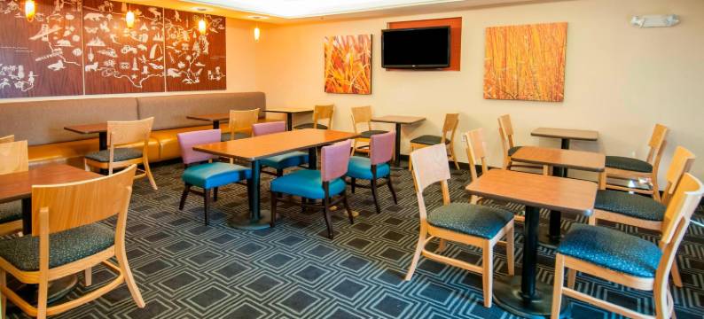 巴吞鲁日冈萨雷斯万豪TownePlace套房酒店(TownePlace Suites Baton Rouge Gonzales)图片