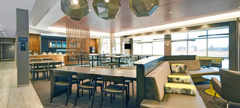 马里奥特圣保罗艾登山SpringHill套房(SpringHill Suites St. Paul Arden Hills)图片