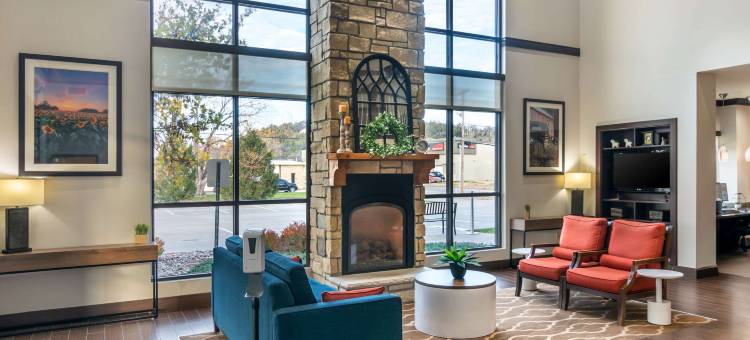 舒适套房酒店-曼哈顿(Comfort Suites Manhattan)图片