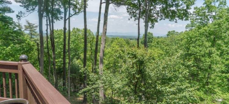 树顶静居，距阿什维尔市中心10分钟，山景、1000平方英尺度假屋！(Treetop Hideaway with mountain views. 1000 sq. ft. 10 min to downtown Asheville!)图片