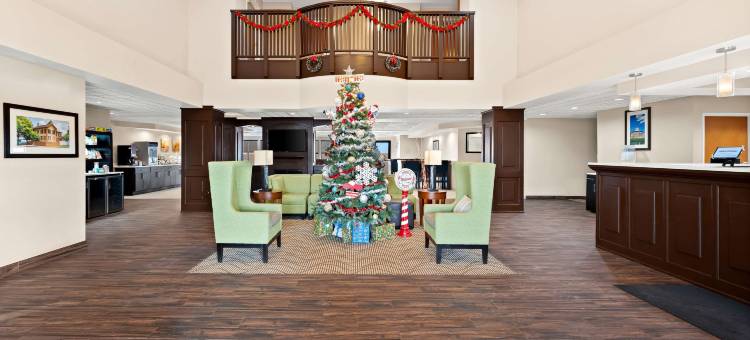 迪凯特-福赛斯舒适套房酒店(Comfort Inn & Suites Decatur-Forsyth)图片