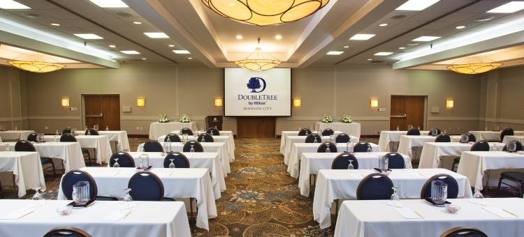 约翰逊城希尔顿逸林酒店(DoubleTree by Hilton Hotel Johnson City)图片