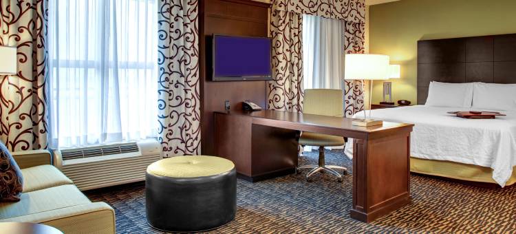 欢朋酒店及套房巴吞鲁日市中心(Hampton Inn & Suites Baton Rouge Downtown)图片