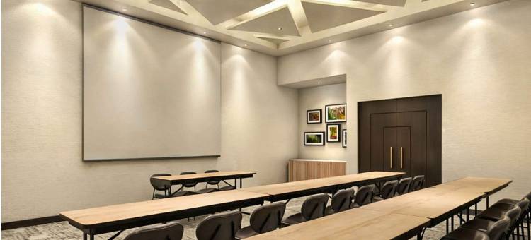 Tru by Hilton Saltillo图片