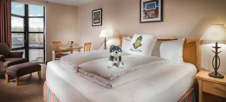 Staypineapple-大学旅馆-西雅图大学区(Staypineapple, University Inn, University District Seattle)图片