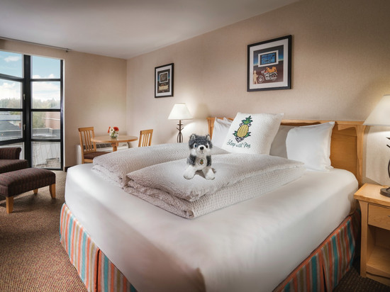 Staypineapple-大学旅馆-西雅图大学区