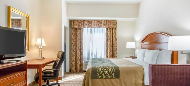 诺曼大学附近舒适套房酒店(Comfort Inn & Suites Norman Near University)图片