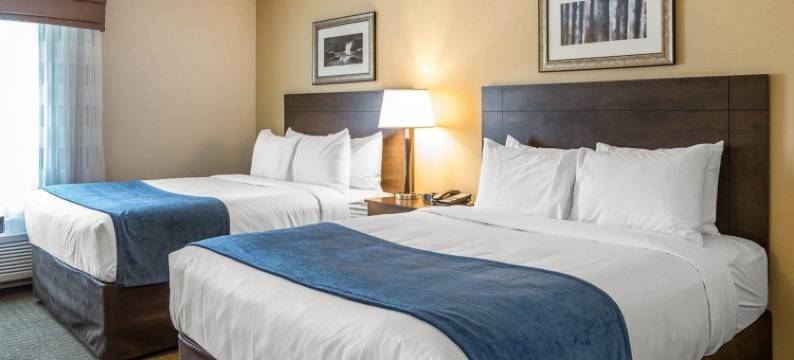 卡特尔斯维尔美茵斯坦套房酒店(MainStay Suites Cartersville)图片