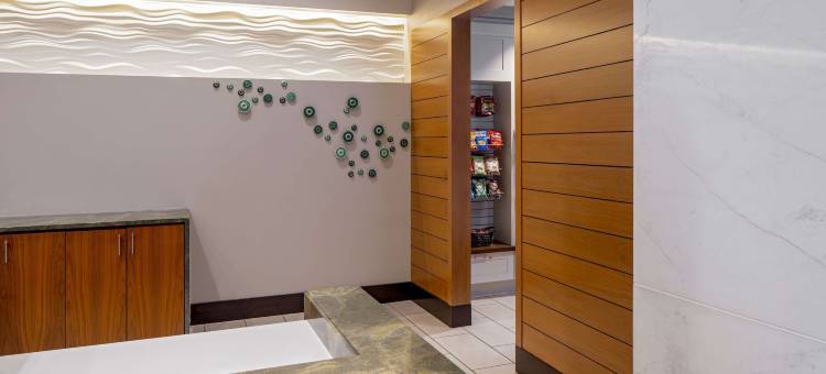 达拉斯市区希尔顿花园酒店(Hilton Garden Inn Downtown Dallas)图片