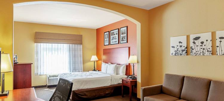 安眠套房酒店-南泰勒(Sleep Inn & Suites Tyler South)图片