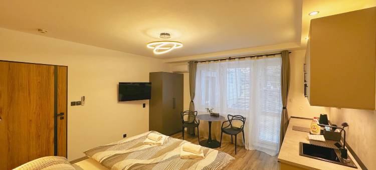 布里涅住宿酒店(Ubytování V Brně - Schodová)图片