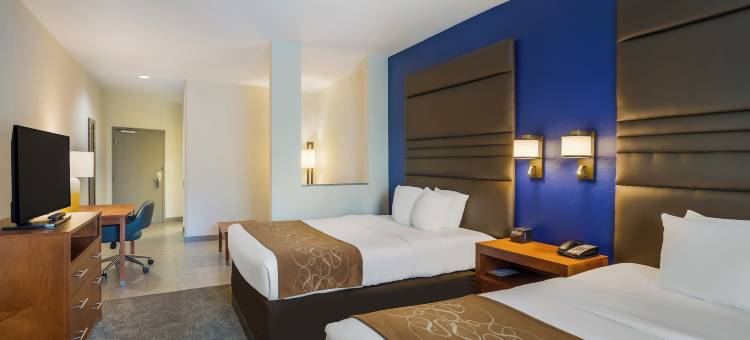 德纳姆斯普林斯舒适套房酒店(Comfort Suites Denham Springs)图片