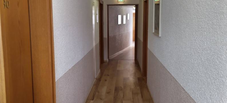 法落酒店(Hotel Faller)图片