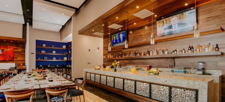 墨西哥普埃布拉安荷洛波里斯希尔顿花园酒店(Hilton Garden Inn Puebla Angelópolis)图片