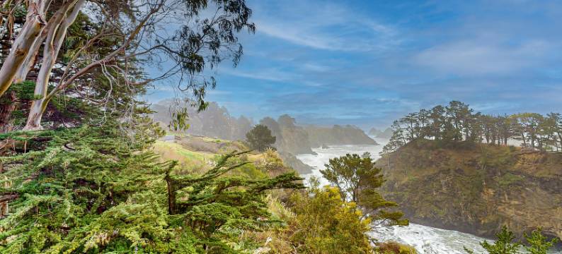 Elk Mid-Century - Guest House图片